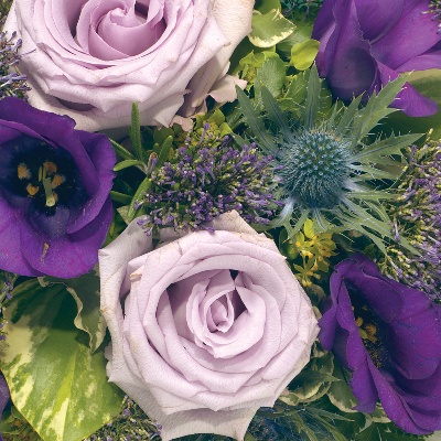 Posy   Purple,Blue and Lilac