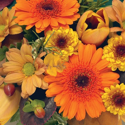 Posy   Orange and Gold