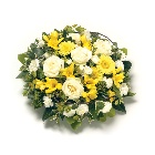 Posy   Yellow and White