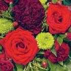 Posy   Red and Green