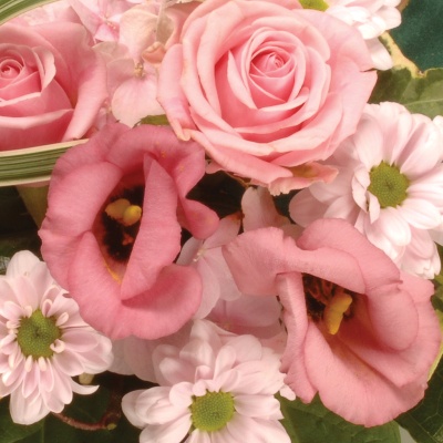 WreathLeaf Edging Pink and Green