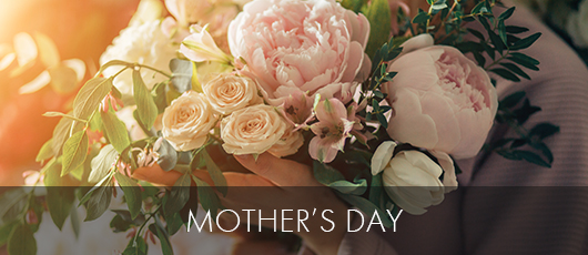 All seasons outlet florist